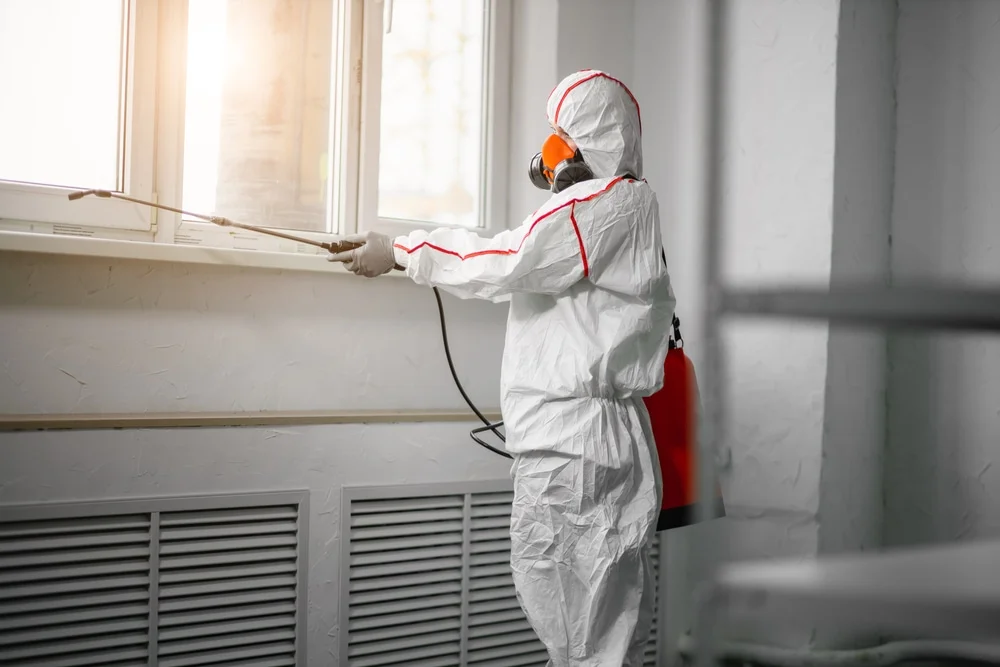 Professional mold remediation services in Point Clear, AL